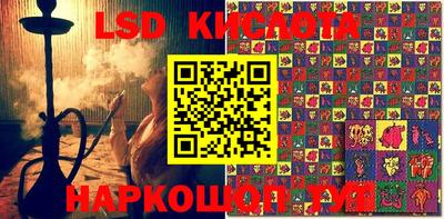 гашик Кинель