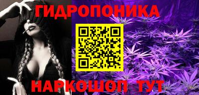 круглые Кингисепп