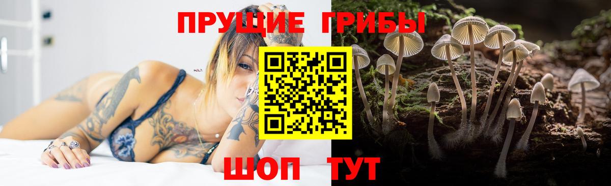 Кувандык  Псилоцибиновые грибы мухоморы  Вход с VPN 